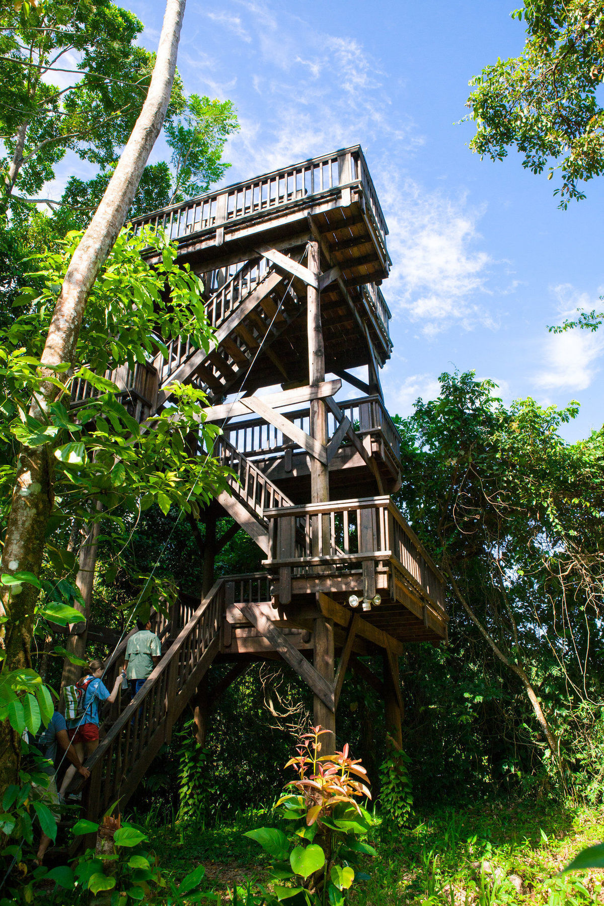 The Lodge & Spa At Pico Bonito Эль-Пино Удобства фото