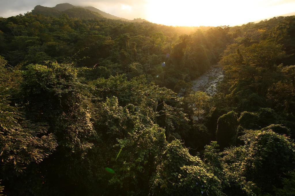 The Lodge & Spa At Pico Bonito Эль-Пино Экстерьер фото